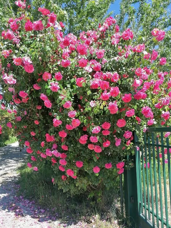 Lucino Agriturismo Bio Apipoli 0*,